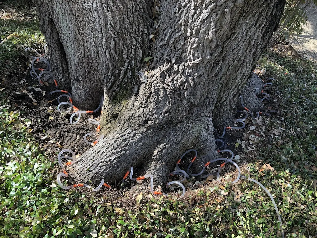 Detailed Shrub and Hedge Trimming job site in Glide